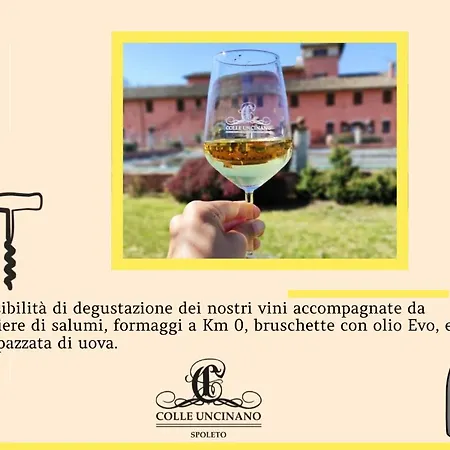 Il Molino Antico - 5 Girasoli